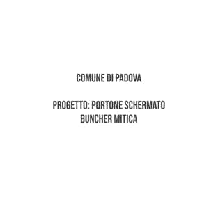 portone-schermato-buncher-mitica